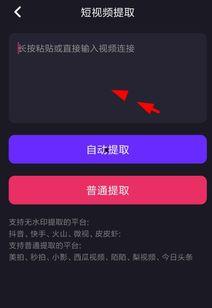 娱乐爆料图水印怎么做,轻松掌握水印生成秘籍